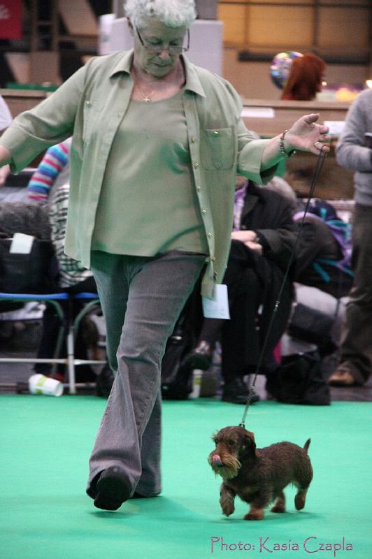 Crufts2011_2 1528.jpg